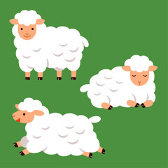 Obraz premium cute sheep vector illustration