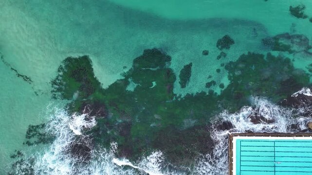 Person swimming in ocean pool in Bondi Beach Australia The ocean has a school of fish. Aerial / Birdseye view looking down. 