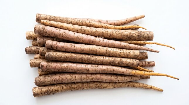 Fresh raw burdock roots stacked together