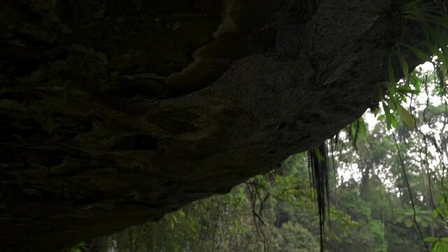 Tilt down from dripping rock beneath an overhang to Tad Champee waterfall, with hanging vines, mist and the pool below in Laos.
