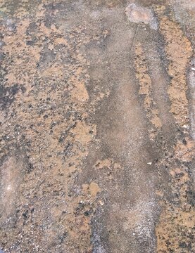 高架線下の風化した擁壁の表面  (クローズアップ)