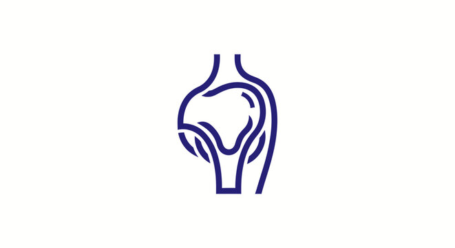 Detailed anatomical illustration of human knee joint outline.