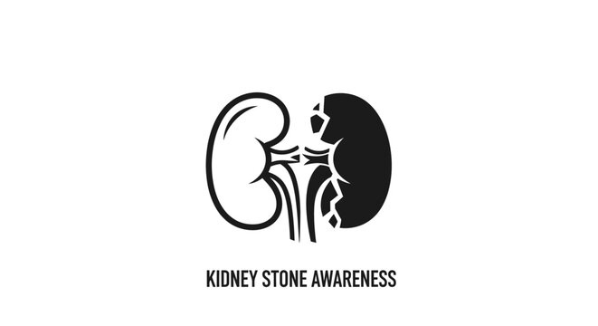 Detailed black and white kidney stone awareness illustration.