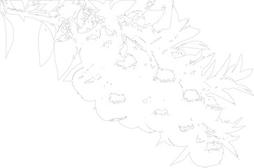 Fototapeta premium Line art illustration of a bouquet of flowers with leaves on transparent background