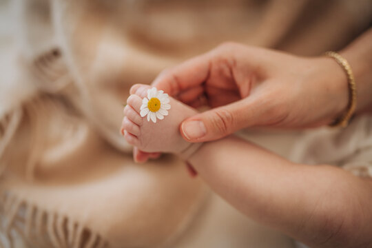 Mother gently holding baby foot with daisy flower