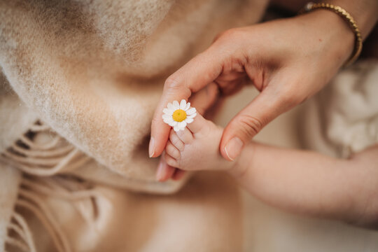 Mother's hand holding baby foot with daisy delivering love
