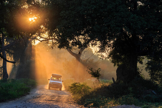 Zimbabwe, Urungwe District, Mana Pools National Park, driving off-road vehicle at sunset