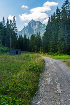 Bielovodska dolina valley with Ganok mountain peak above in High Tatras mountains in Slovakia
