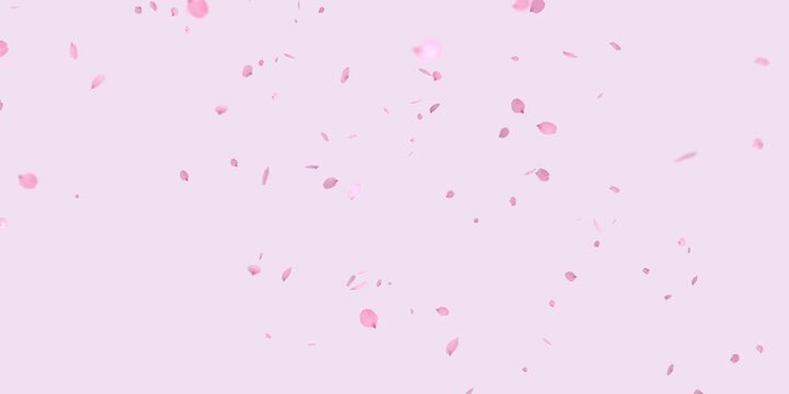Flower petals drift and fall in the wind, separating from the black background. There's an alpha channel at the end of the clip.