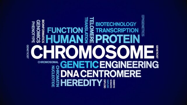 Chromosome animated word cloud-text design animation tag kinetic typography seamless loop.