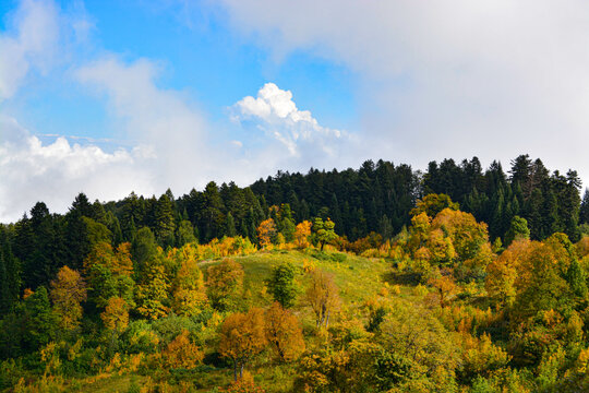Scenic autumn mountain landscape with mixed forest and alpine meadow