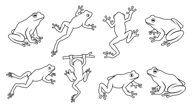 Frog silhouette vector set featuring eight diverse poses including sitting, crouching, jumping, side and top views, amphibian illustration inspiration