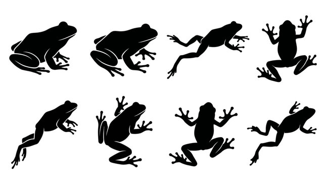 Frog silhouette vector set featuring eight diverse poses including sitting, crouching, jumping, side and top views, amphibian illustration inspiration