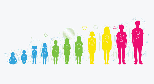 Colorful silhouettes of children standing in a row representing the stages of human growth and development from infancy to adulthood.