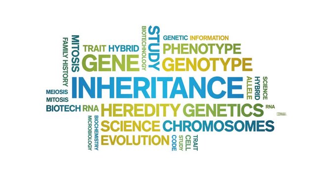 inheritance animated word cloud-text design animation tag kinetic typography seamless loop.