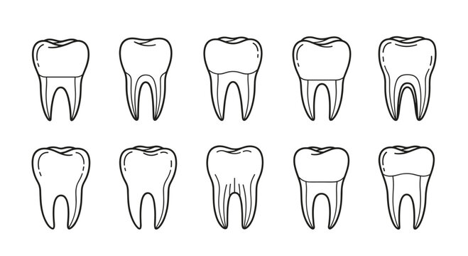 Detailed set of human molar teeth icons showing various root structures and dental conditions for medical education purposes.