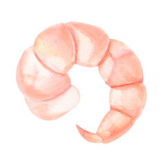 Fototapeta premium Peeled cooked shrimp. Hand-painted watercolor illustration isolated on white for seafood menus, recipe books, food packaging, restaurant branding, Asian cuisine, culinary blogs, nutrition content