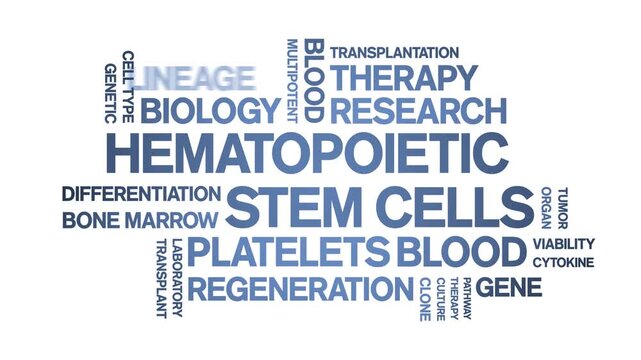Hematopoietic Stem Cells animated word cloud-text design animation tag kinetic typography seamless loop.