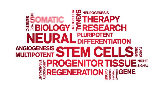 Neural Stem Cells animated word cloud-text design animation tag kinetic typography seamless loop.