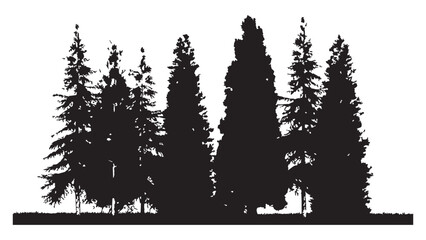 Silhouette of pine forest, hand drawn vector illustration of coniferous trees. © Sara Studio