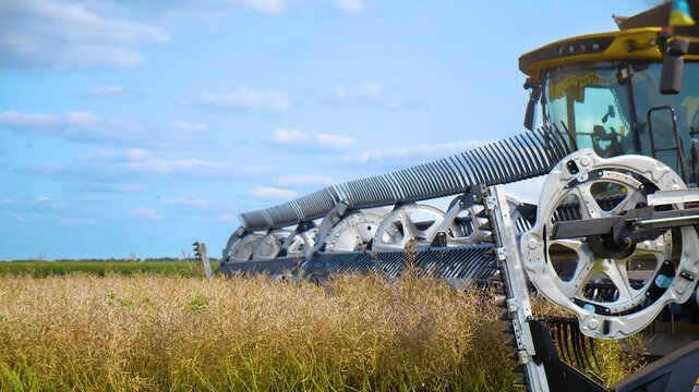 Close-up of a combine harvester header reel on a sunny field, agriculture m&fnof;&ne;achinery.