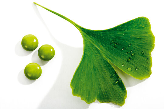Ginko leaves and tablets