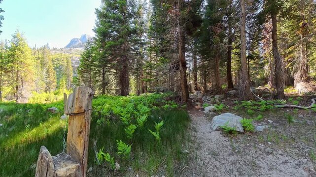 Different Gate Closing Method on Trail in Kings Canyon National Park