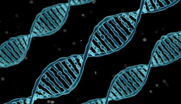 DNA-molecule