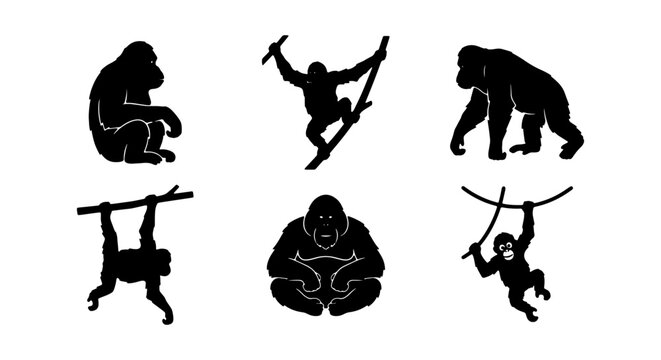 Gorilla Silhouettes Vector Set, Primate Icons, Jungle Wildlife Graphics, Ape Collection