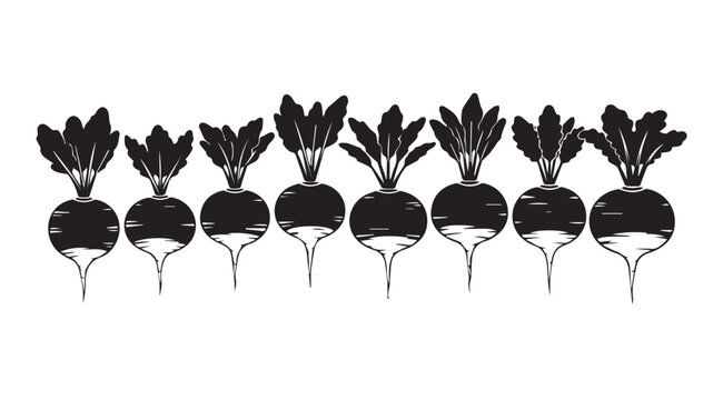Beets with leafy green tops arranged in a row with a hand-drawn artistic style