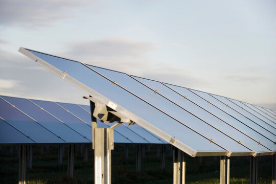 Solar cells on solar plant