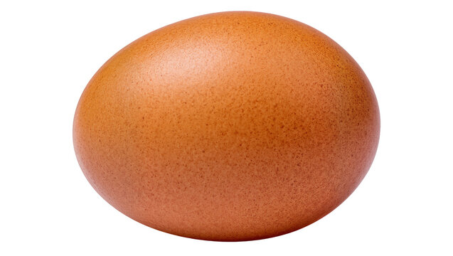 Brown chicken egg with textured shell