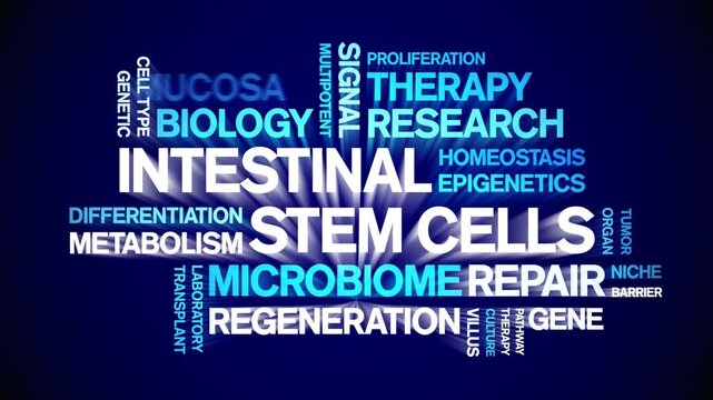 intestinal Stem Cells animated word cloud-gross domestic product animation tag kinetic typography seamless loop.