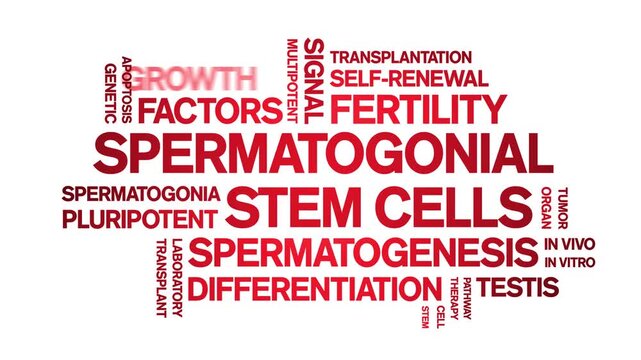 Spermatogonial Stem Cells animated word cloud-gross domestic product animation tag kinetic typography seamless loop.