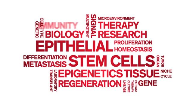 Epithelial Stem Cells animated word cloud-gross domestic product animation tag kinetic typography seamless loop.