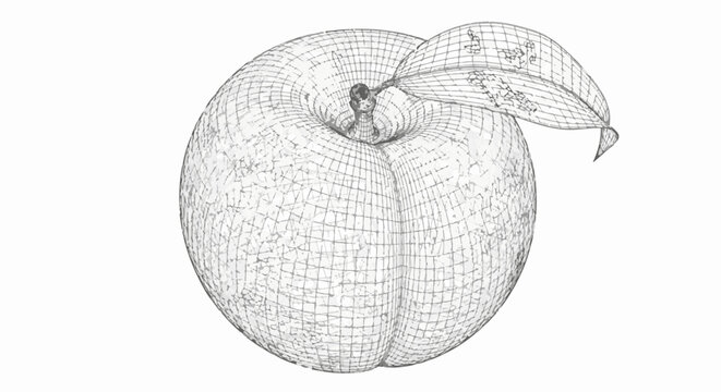 Wireframe illustration of an apple with a textured leaf