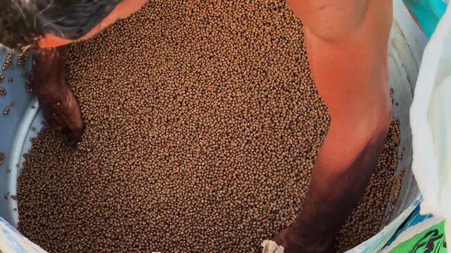 Farmer mixing and preparing organic brown fish feed pellets inside a large container