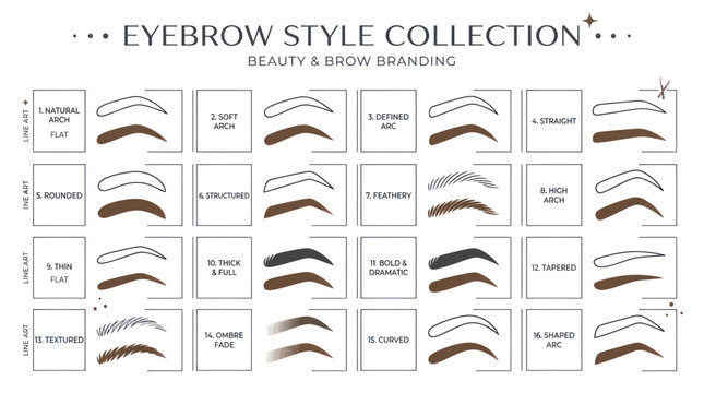 Eyebrow Style Collection: Beauty & Brow Branding