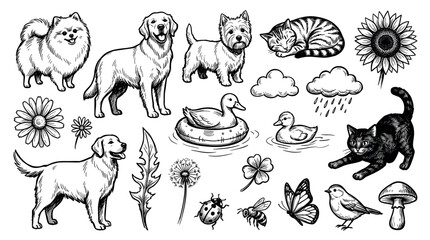 Obraz premium Various hand-drawn black and white illustrations of animals, plants, and nature elements in a classic sketch style on a clean white background