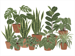 Indoor plant collection silhouette monstera snake plant and philodendron varieties © MDOMOR
