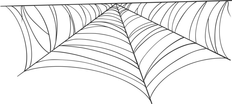 Halloween spider and cobweb, line net trap border, corner. Spooky scary decoration