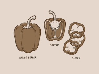 Obraz premium Hand drawn line art of bell pepper set with full and slice, minimalist vegetable sketch on beige background