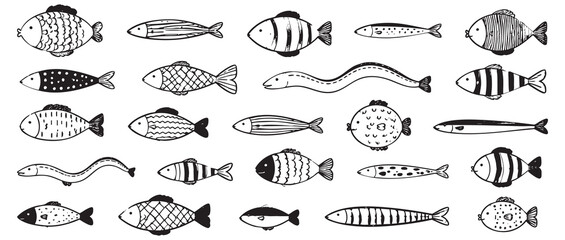 Collection of various doodle fish illustrations, hand drawn sketch style sea creatures, isolated on white background. © Zbrake Studio