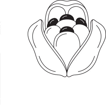 Detailed black and white line art illustration of an opened ackee fruit showing edible arils and dark round toxic seeds