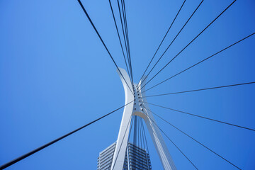 Fototapeta premium 青空の隅田川と中央大橋 東京都中央区