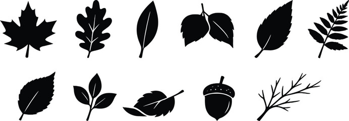 Vector Set of Black Leaf Silhouettes and Acorn Icons for Autumn Designs, Nature Graphics, Minimalist Foliage Clipart, Forest Plants, and Decorative Organic Elements for Web and Print. © MD FARID