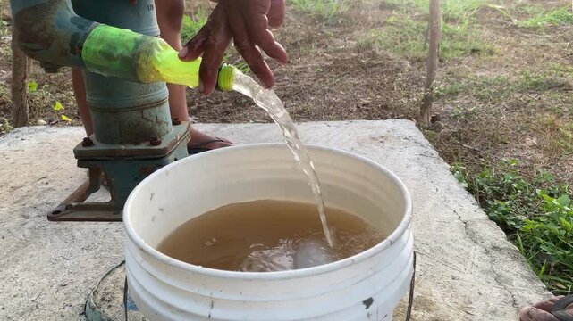 Cloudy water is coming out of a Jetmatic Manual Water Pump used for watering plants.