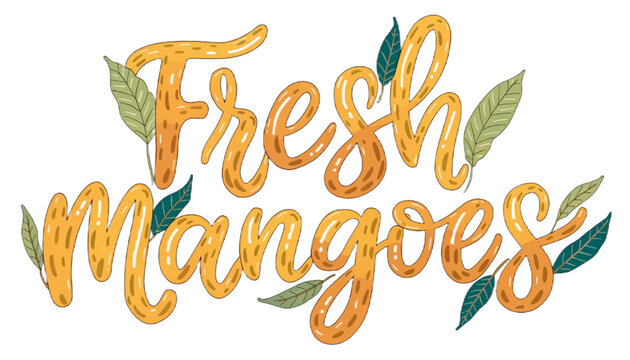 Fresh Mangoes hand lettering typography with realistic mango leaf decorations, EPS vector transparent background
