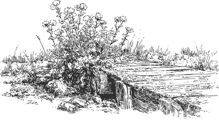 Obraz premium Rustic wooden bridge over stream with wildflowers and grass in countryside engraving