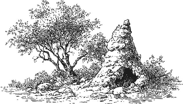 wild nature scene with bush and termite mound detailed ink drawing
